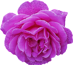 ��� �����