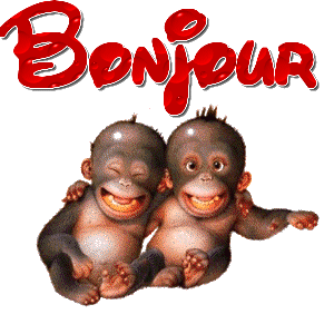 bon jour.....bon jour.....bon jour.....bon jour.....bon jour.....