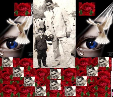 ��� ����� ����