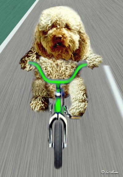 �� ������ ��� �����