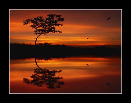 ���� ����� ��� ������ ������