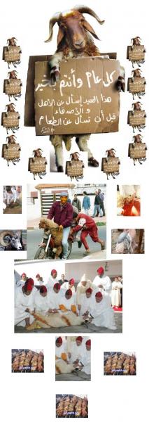 ��� ������ �������