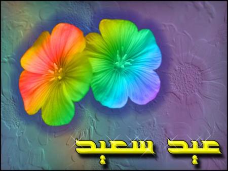 ��� ����